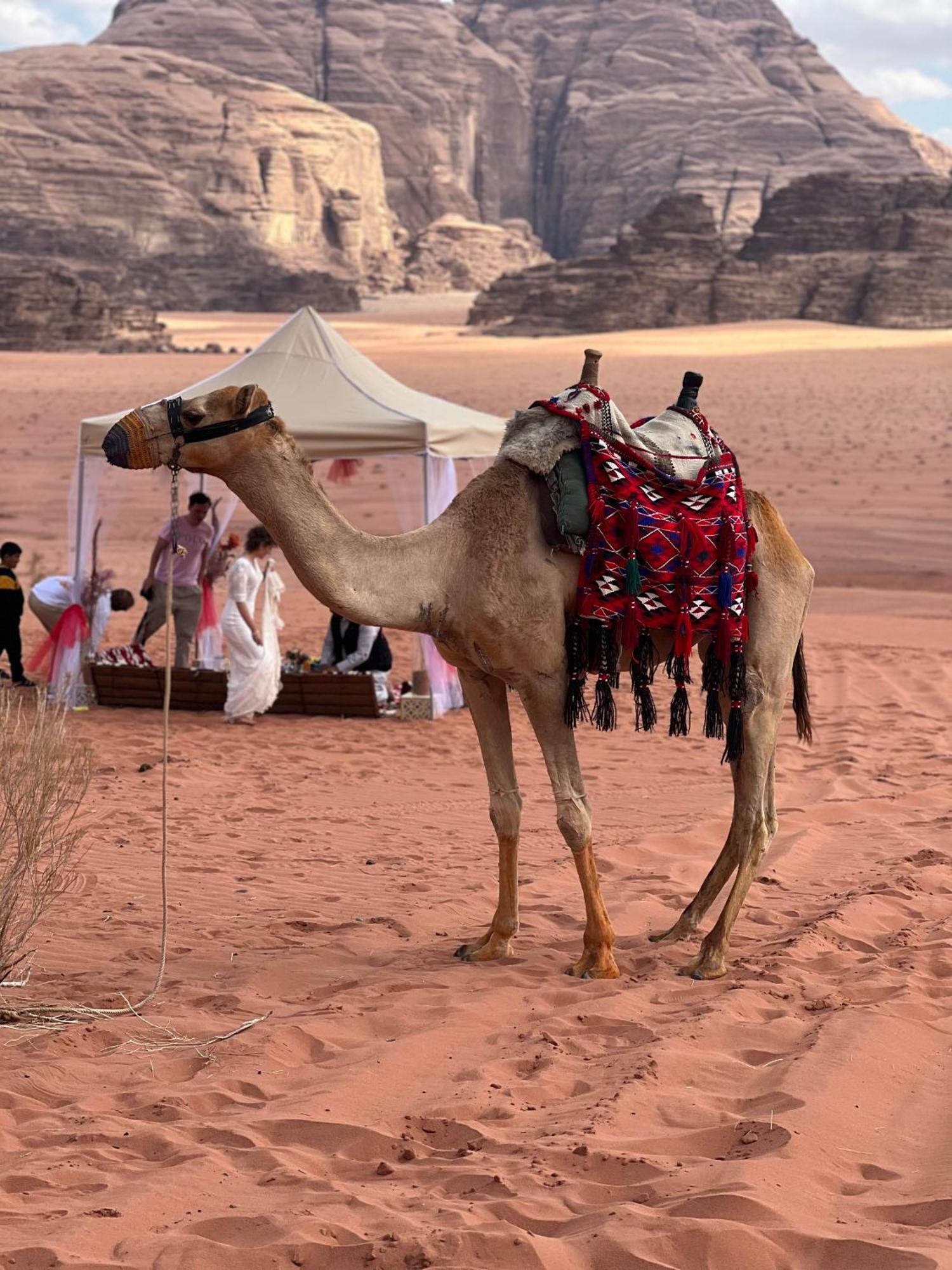 Moon Magic Valley Apartment Wadi Rum Ngoại thất bức ảnh
