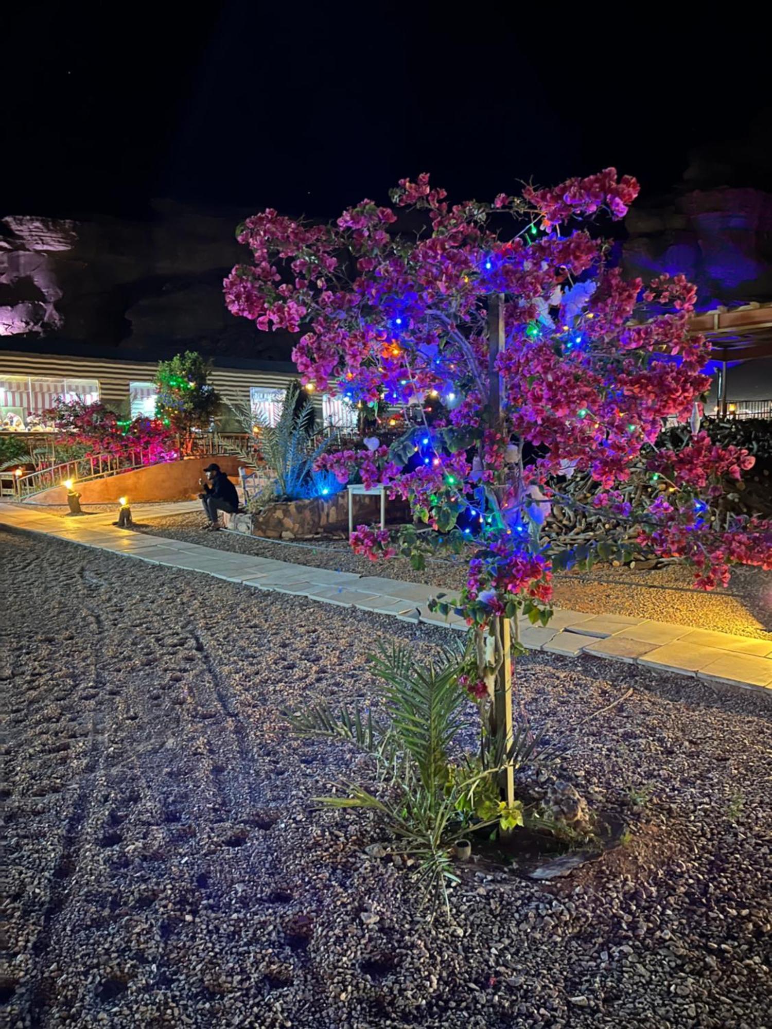 Moon Magic Valley Apartment Wadi Rum Ngoại thất bức ảnh