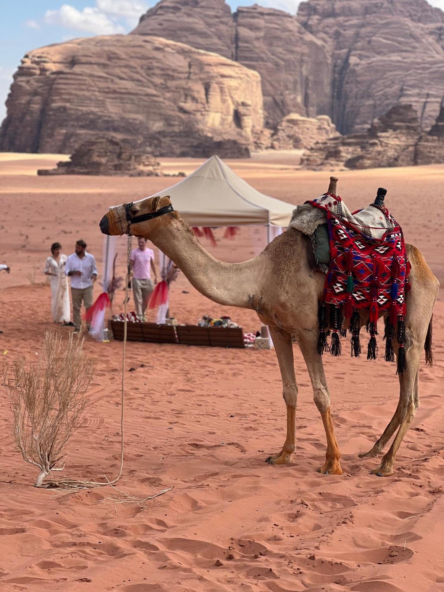 Moon Magic Valley Apartment Wadi Rum Ngoại thất bức ảnh